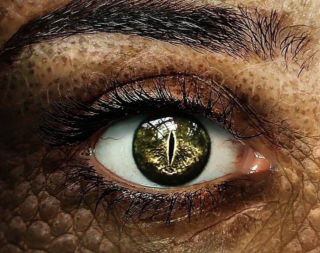 crocodile 2434838 640