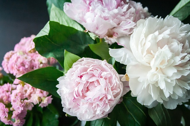 flower 823655 640