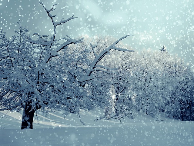 winter 1861704 640