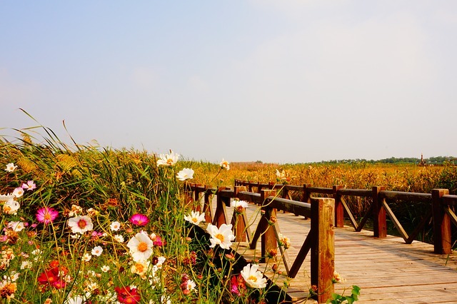bridge 615586 640
