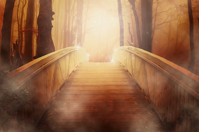 bridge 19513 640
