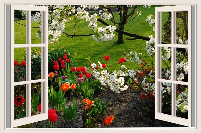 a beautiful day 2247264 640