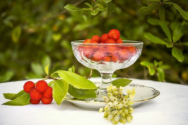 arbutus 1771010 640
