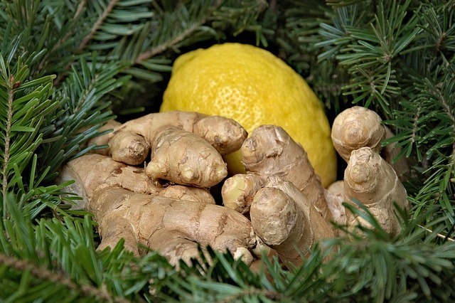 ginger 1928545 640