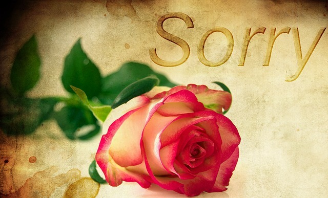 rose 1271216 640