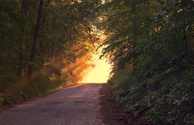 sunlight 166733 640 1