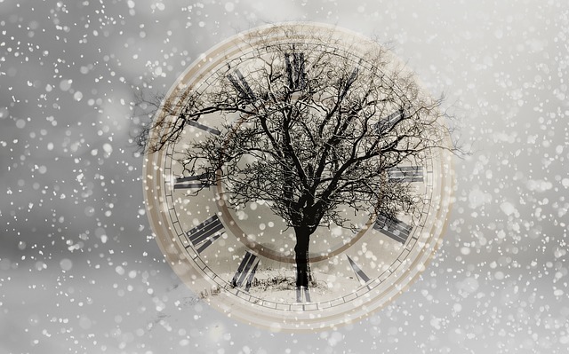 snow 2910676 640