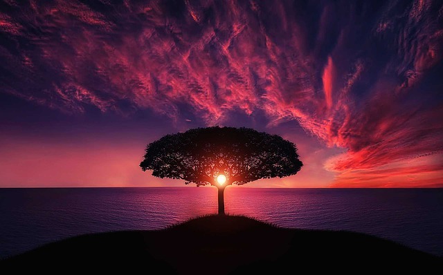 amazing 736885 640