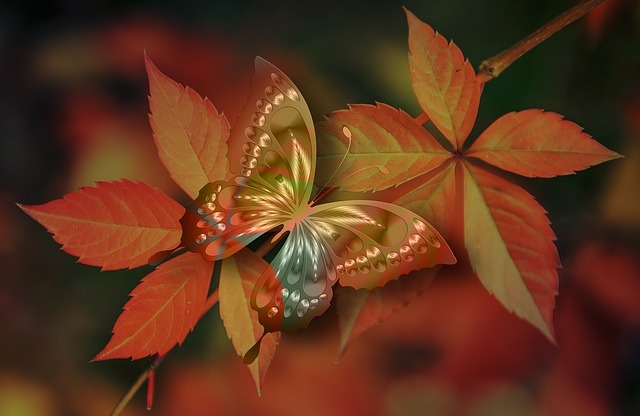 arrangement 2790919 640