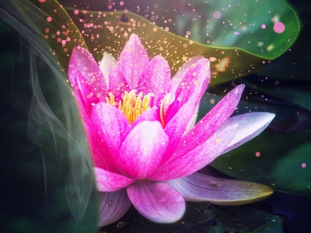 lotus 3231910 640