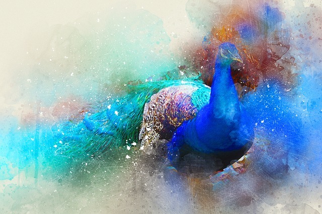 bird 2427354 640