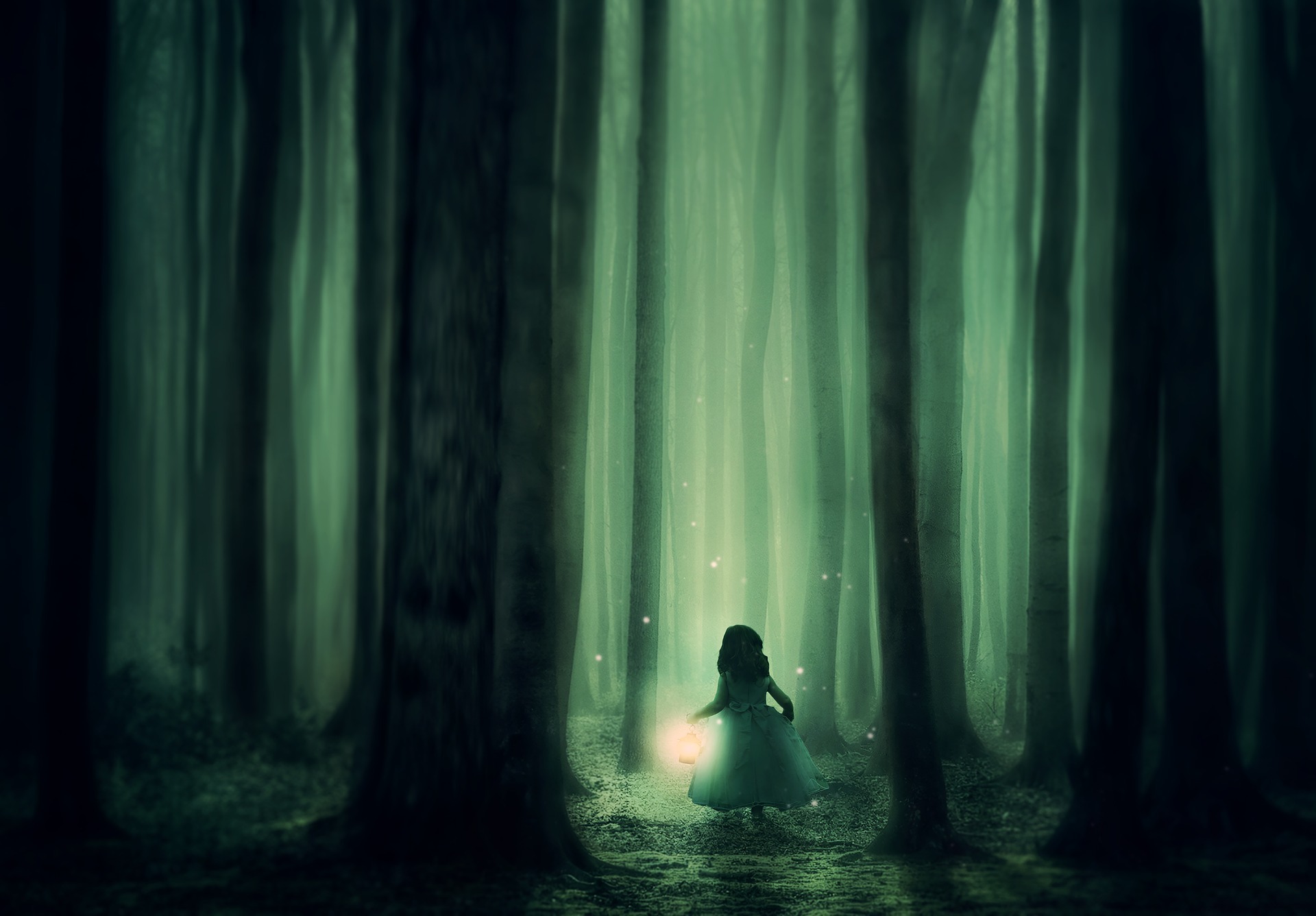 forest 3833973 1920