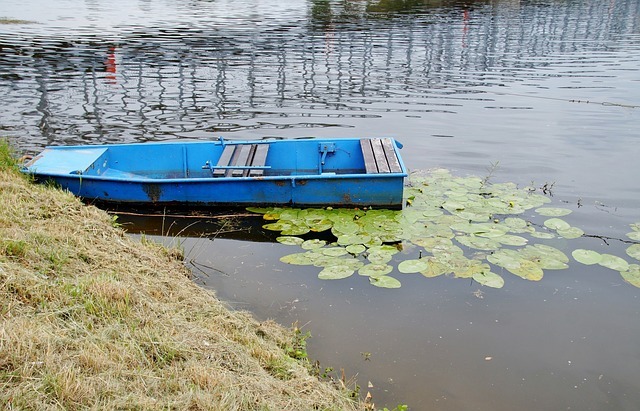 rowboat 881831 640