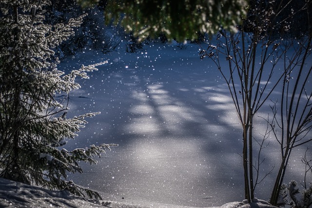 winter 3938521 640