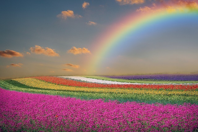 spring 4022427 640