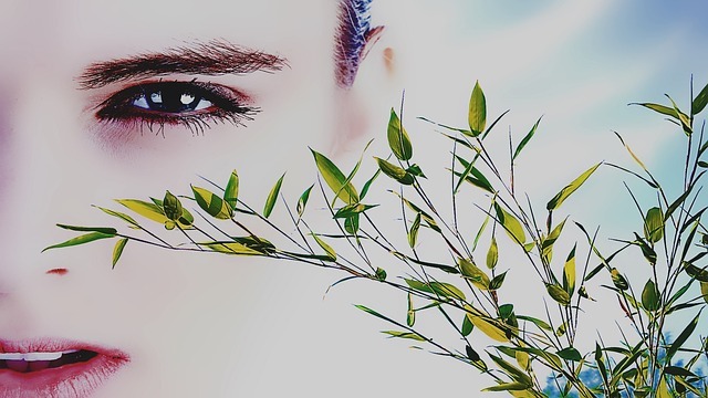 face 1906158 640