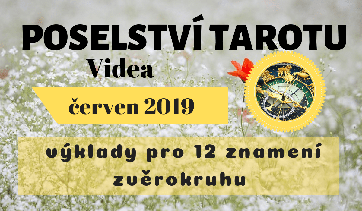 videacerven