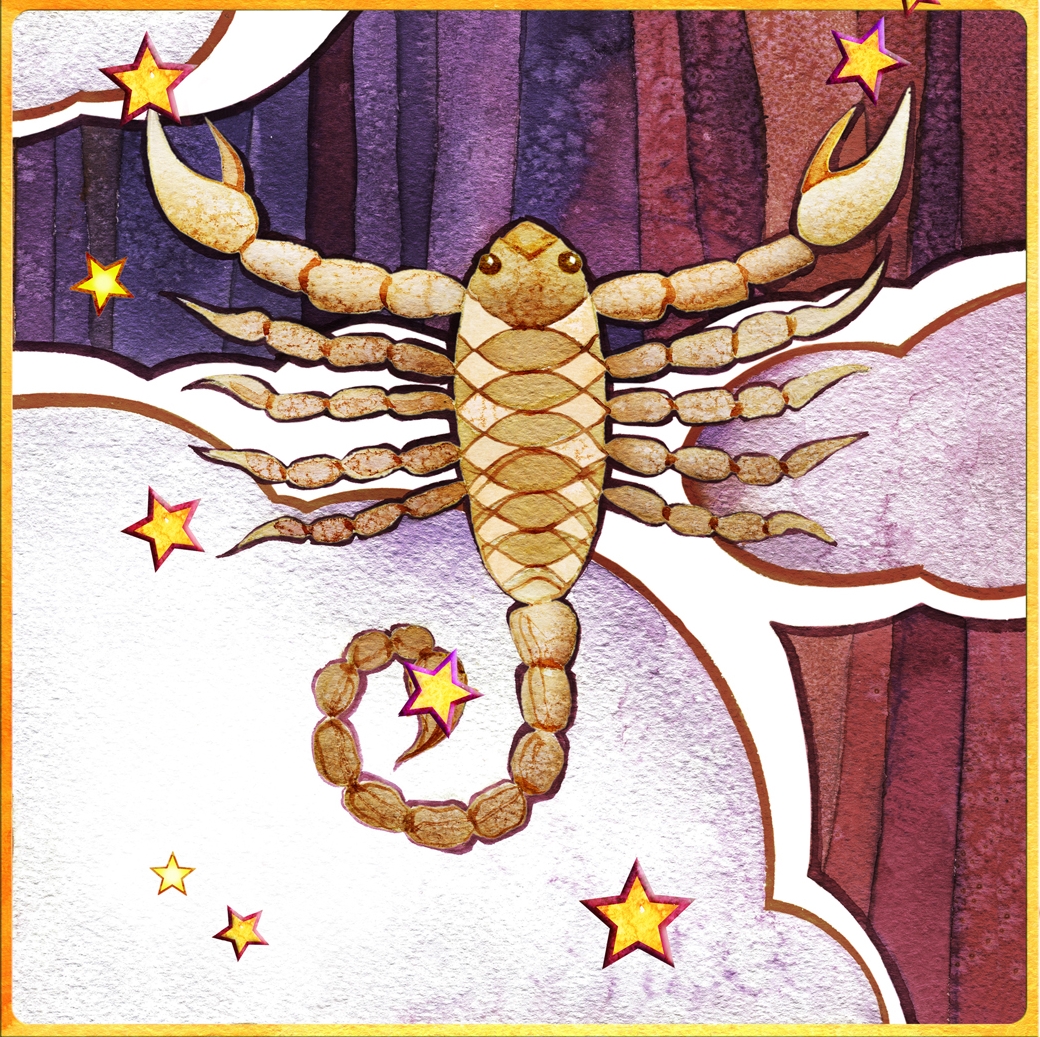 stir zodiac