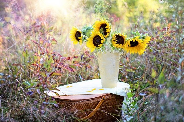 sunflowers 1719119 640