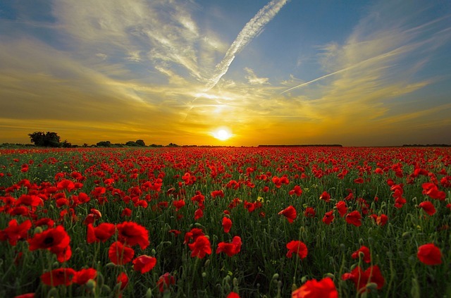 sunset 815270 640